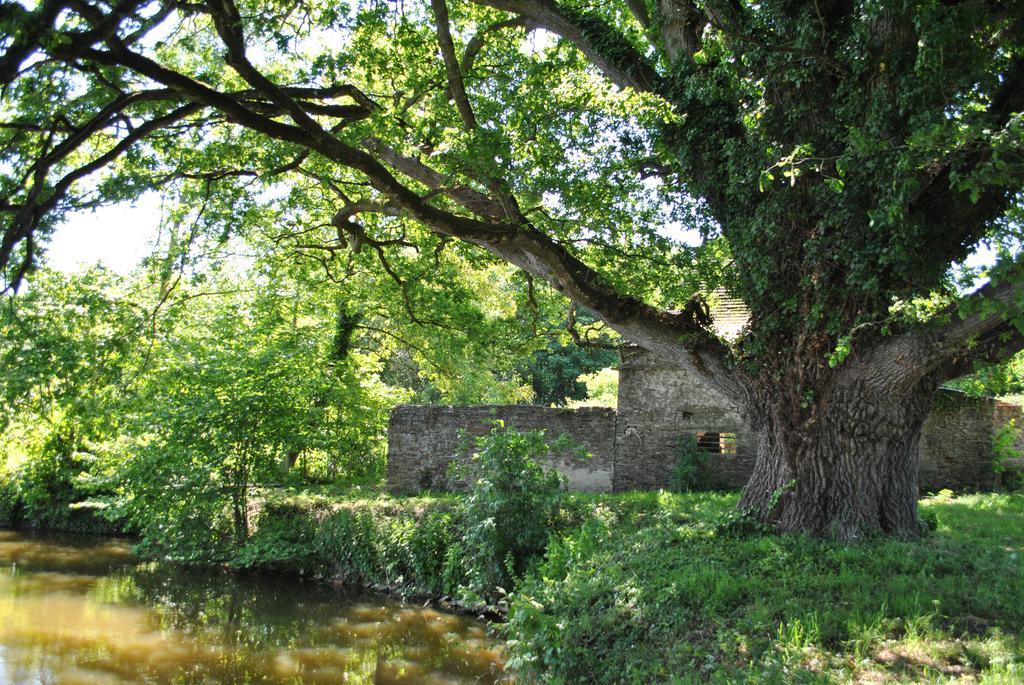 Le Manoir De La Vieille Douve Bed & Breakfast Bourg-d'Ire Bagian luar foto