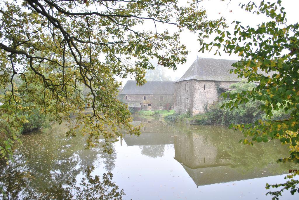 Le Manoir De La Vieille Douve Bed & Breakfast Bourg-d'Ire Bagian luar foto
