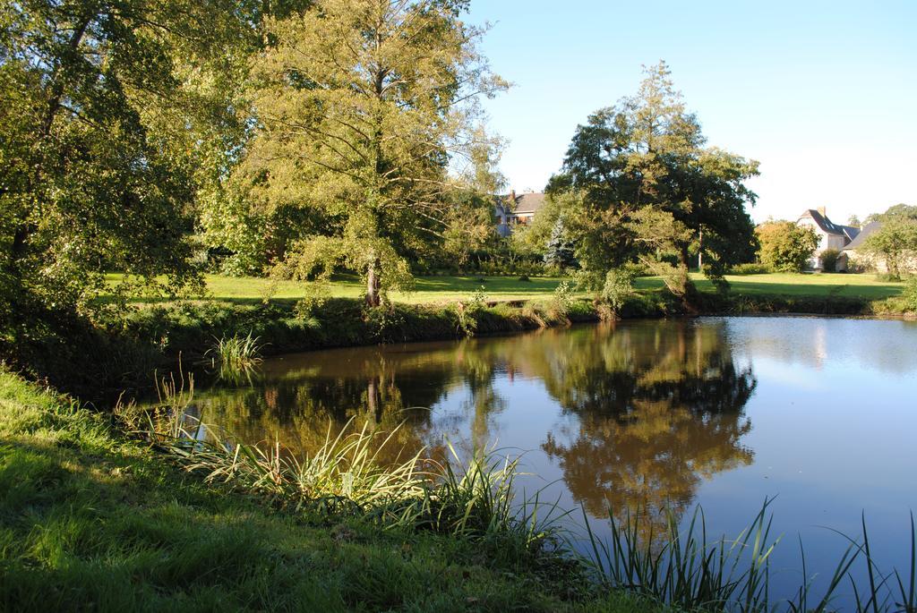Le Manoir De La Vieille Douve Bed & Breakfast Bourg-d'Ire Bagian luar foto